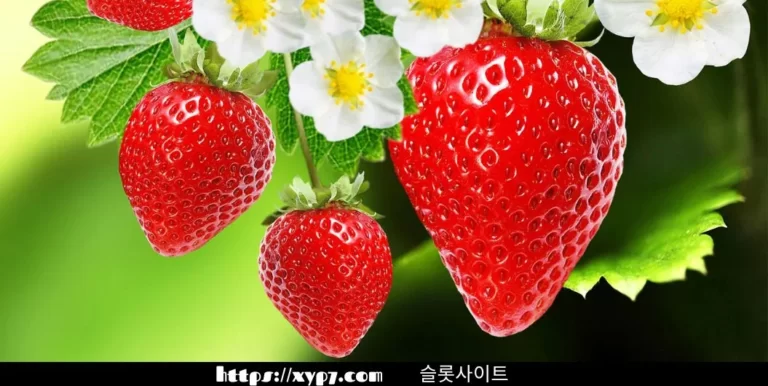 Facts About Strawberries