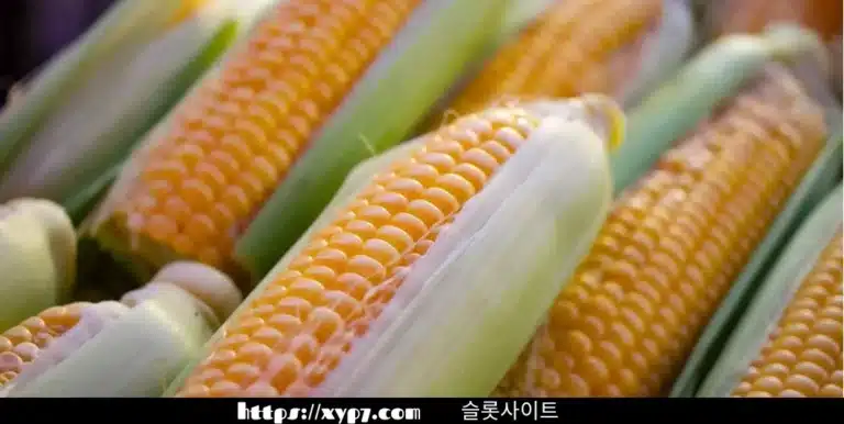 Interesting Facts About Corn