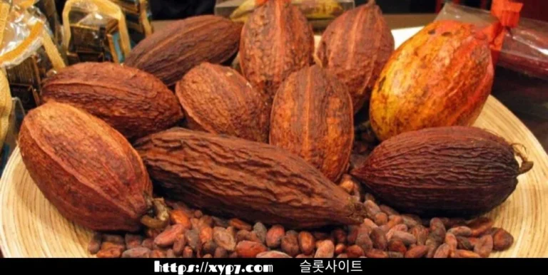 Facts About Cacao Fruit