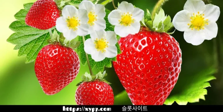 Tasty Red Fruits You Should Try