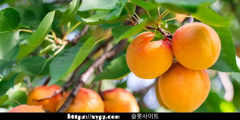 10 Fruits That Start with A