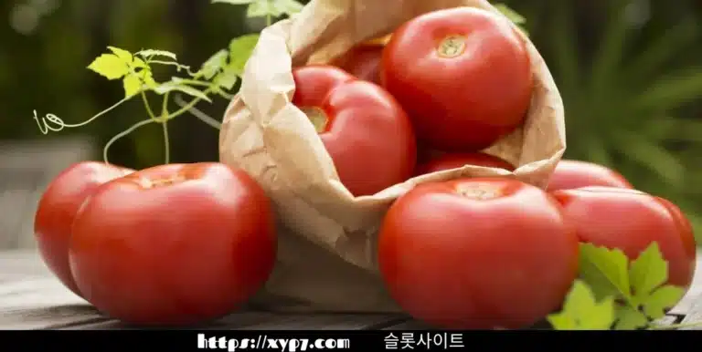 10 Fun Facts About Tomatoes
