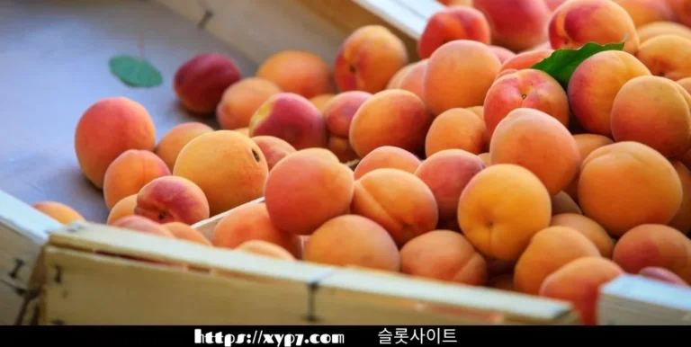 10 Ways To Enjoy Apricot Fruit