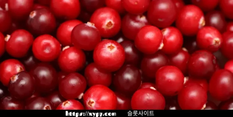 10 Ways To Enjoy Cranberry