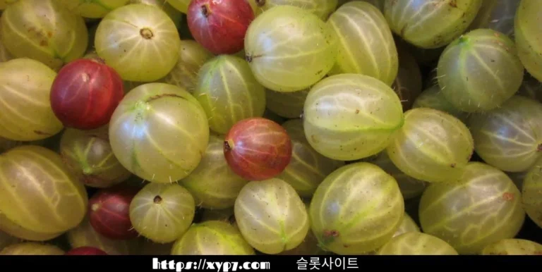 10 Ways to Enjoy Gooseberries