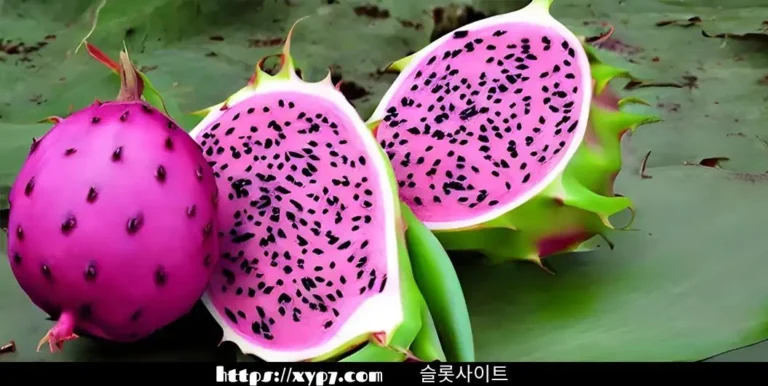 10 Health Benefits of Dragon Fruit